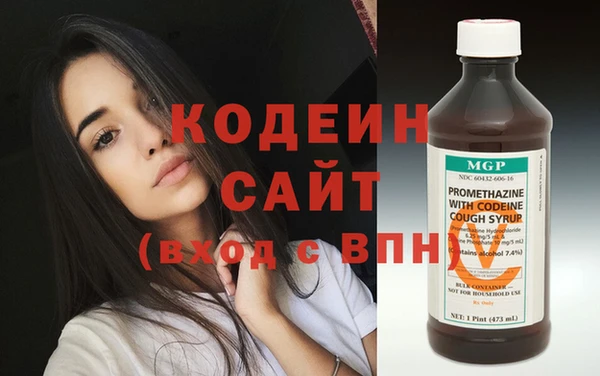 прущие грибы Осташков