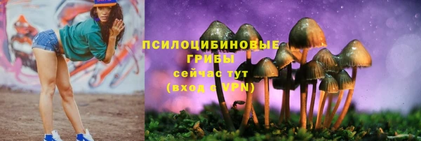 шишки Переславль-Залесский