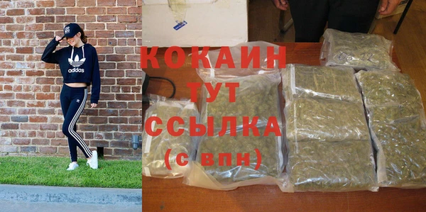 прущие грибы Осташков