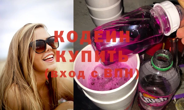 прущие грибы Осташков