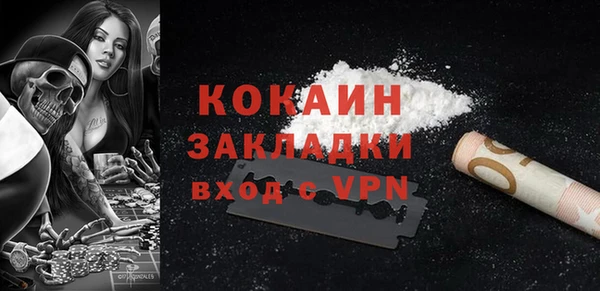 прущие грибы Осташков