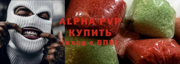 прущие грибы Осташков