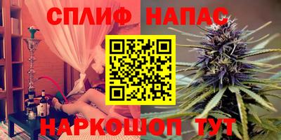 прущие грибы Бийск