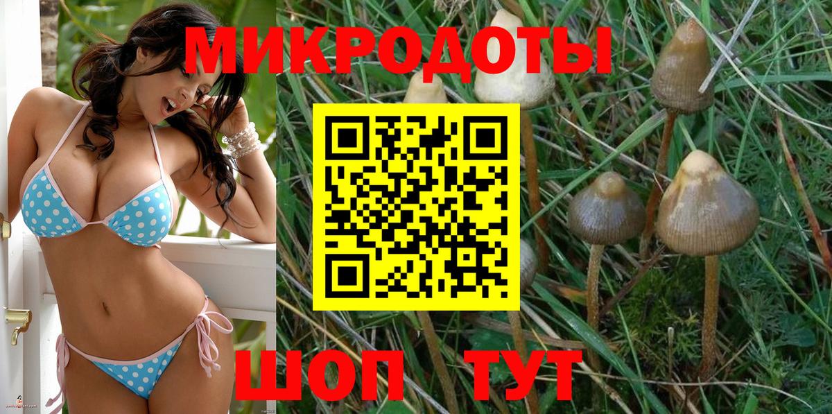 сколько стоит  Галлюциногенные грибы прущие грибы  Вход с VPN  Северодвинск  Галлюциногенные грибы MAGIC MUSHROOMS 