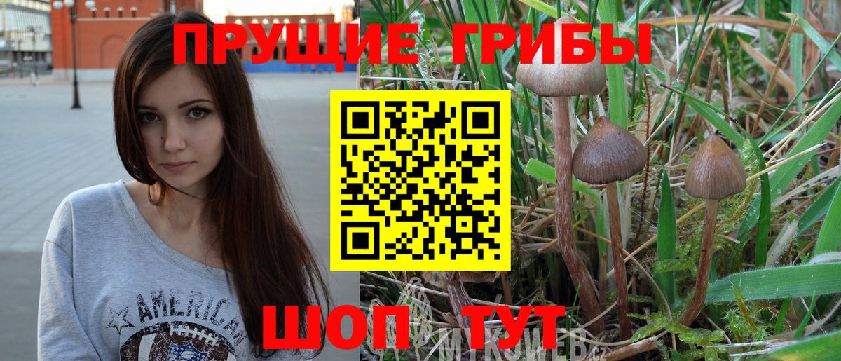 Галлюциногенные грибы Magic Shrooms  Северодвинск  Псилоцибиновые грибы мицелий 